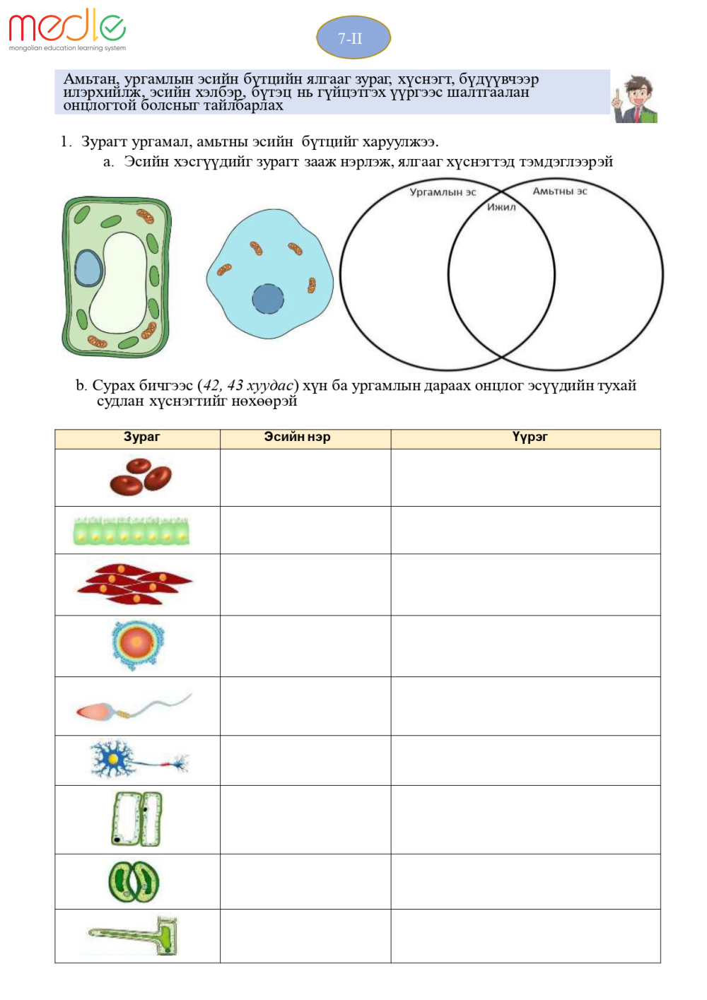 /worksheet/student/200002440654745