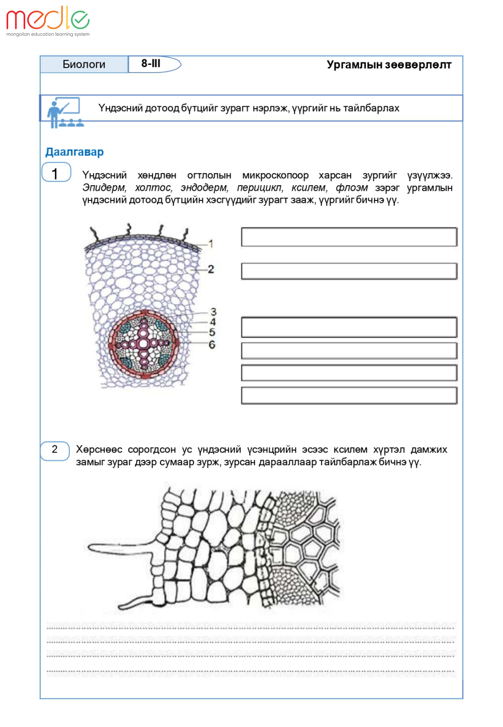 /worksheet/student/200002440669578