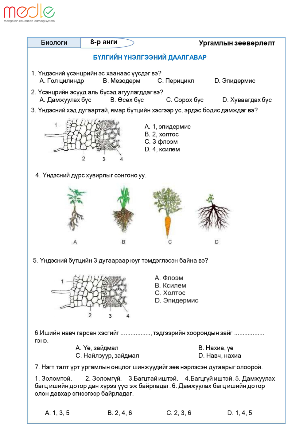 /worksheet/student/200002440669582