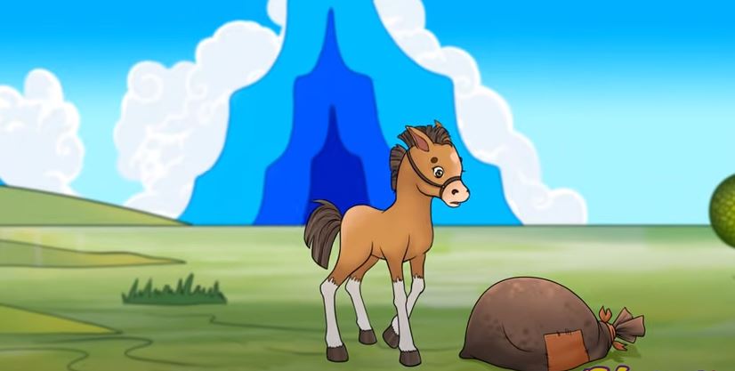 Мэдлээ | Цахим контент